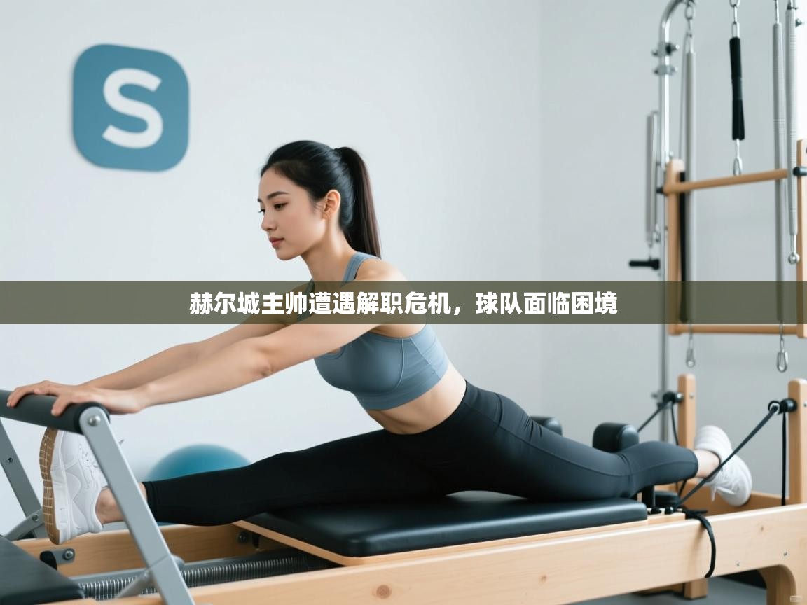 赫尔城主帅遭遇解职危机，球队面临困境  第1张